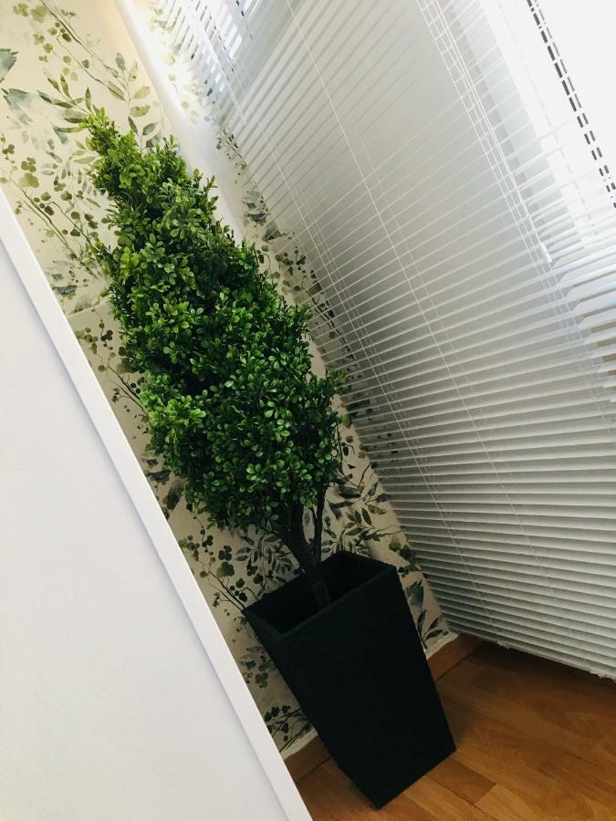דירות סרגוסה Apartamento Good Vibes מראה חיצוני תמונה